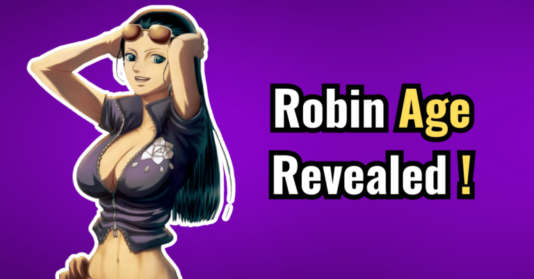robin from one piece